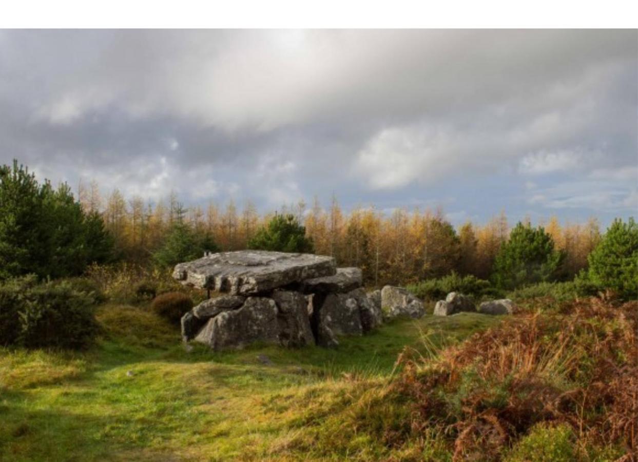 Corderry Farmhouse, Idyllic Cottage Amid 250 Acres Lisvernane Bagian luar foto